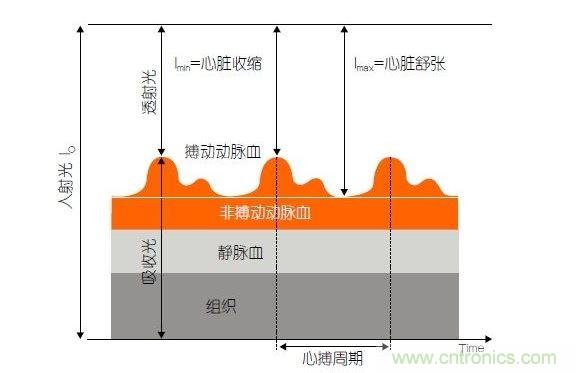 PPG測(cè)量中檢測(cè)器信號(hào)的產(chǎn)生。照射皮膚的光線(I0)被靜脈血或動(dòng)脈血吸收，或反射回檢測(cè)器。信號(hào)的變化分量對(duì)應(yīng)著與心跳同步變化的動(dòng)脈血流量。這個(gè)信號(hào)的變化周期指示了脈率。最小和最大檢測(cè)器信號(hào)的比值(光電流Imin/Imax)為判斷血氧飽和度提供了依據(jù)。