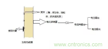 仿生傳感器的定義、原理、分類及應(yīng)用